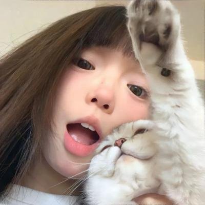 山河披锦绣 封面